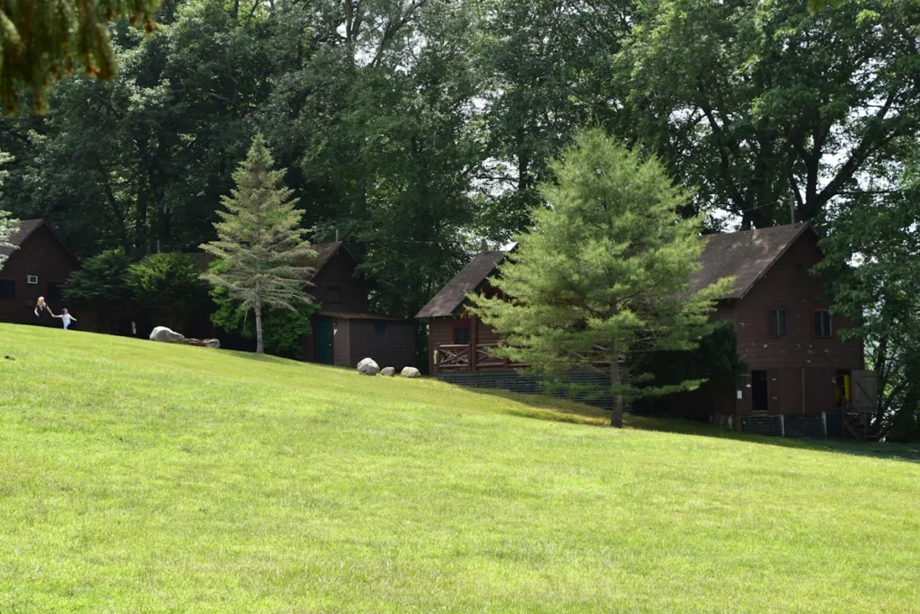 a herd of sheep grazing on a lush green hillside